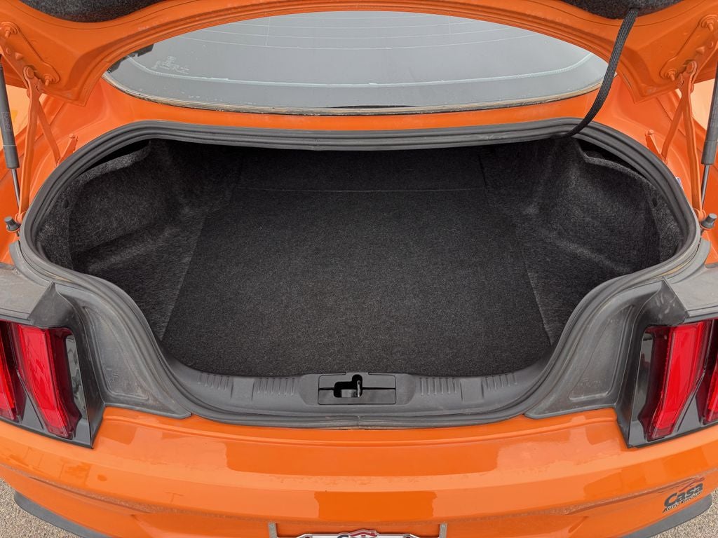 2021 Ford Mustang Mach 1